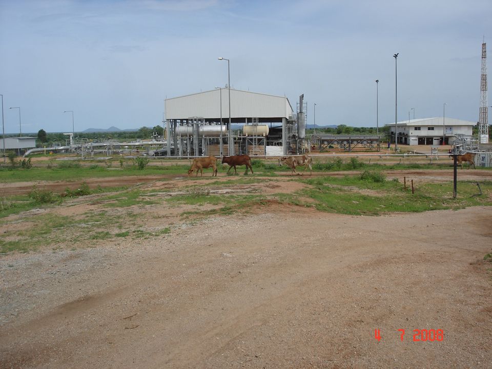agriculture (7)