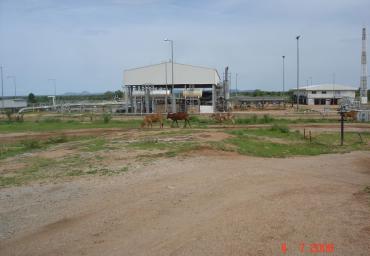 agriculture (7)
