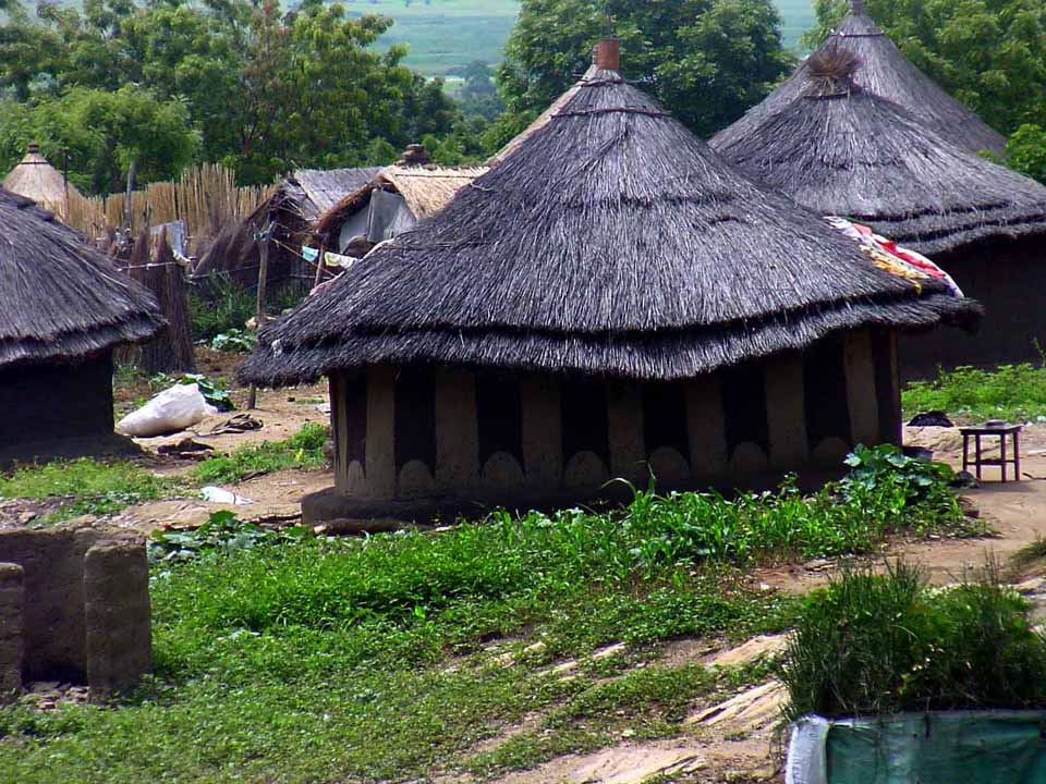 rural (1)